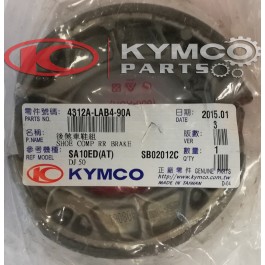 ΣΙΑΓΩΝΕΣ ΟΠΙΣΘΙΟΥ ΦΡΕΝΟΥ