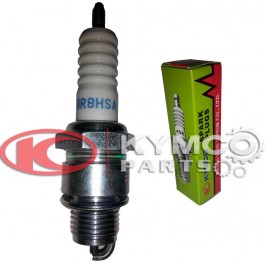 ΜΠΟΥΖΙ ΒR8ΗSΑ