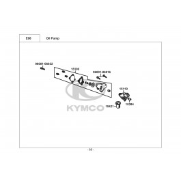 VISA R 50-ΑΝΤΛΙΑ ΛΑΔΙΟΥ