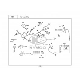 KXR 250-ΚΑΛΩΔΙΩΣΗ-ΗΛΕΚΤΡΙΚΑ ΜΕΡΗ
