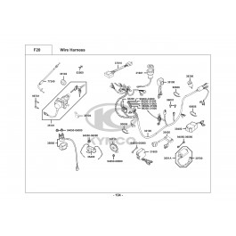 PEOPLE 250-ΚΑΛΩΔΙΩΣΗ-ΗΛΕΚΤΡΙΚΑ ΜΕΡΗ