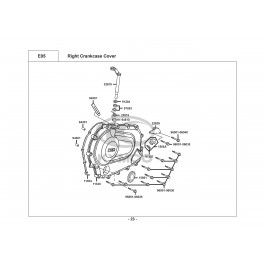 VENOX 250-ΚΑΠΑΚΙ ΔΕΞΙΟΥ ΚΑΡΤΕΡ