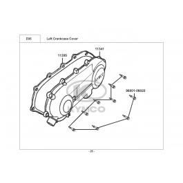 AGILITY 50 RS NAKED-ΑΡΙΣΤΕΡΟ ΚΑΠΑΚΙ ΚΑΡΤΕΡ