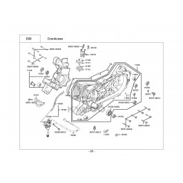 AGILITY 50 RS NAKED-ΚΑΡΤΕΡ