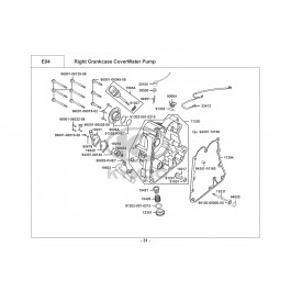 XCITING 250 (ΚΑΘΡΕΦΤΕΣ ΣΤΗΝ ΠΟΔΙΑ)-ΔΕΞΙΟ ΚΑΡΤΕΡ-ΑΝΤΛΙΑ ΝΕΡΟΥ
