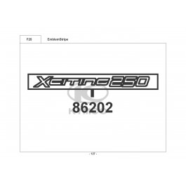 XCITING 250 (ΚΑΘΡΕΦΤΕΣ ΣΤΗΝ ΠΟΔΙΑ)-ΑΥΤΟΚΟΛΛΗΤΑ