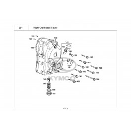 DINK 125 LX-ΚΑΠΑΚΙ ΔΕΞΙΟΥ ΚΑΡΤΕΡ