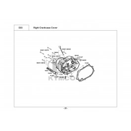 SPIKE 125-ΚΑΠΑΚΙ ΔΕΞΙΟΥ ΚΑΡΤΕΡ