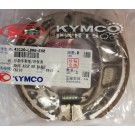 ΣΙΑΓΩΝΕΣ ΟΠΙΣΘΙΟΥ ΦΡΕΝΟΥ